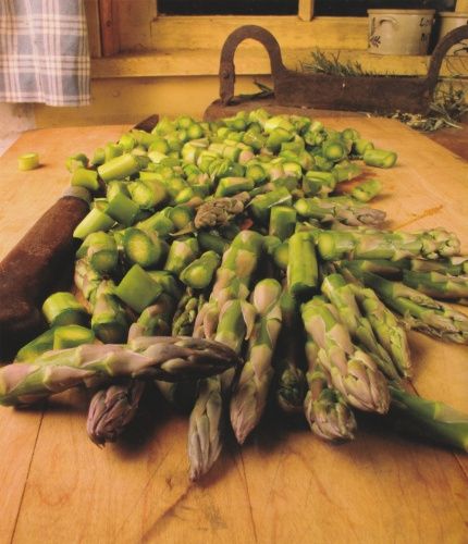 tasha_tudor_cookbook_asparagus_photo