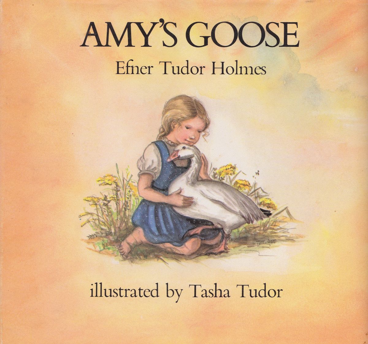 Amys-goose-cover